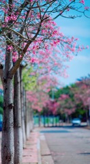 1069405B-AA7F-4FAA-A2C3-18AB102D06F6/L0/001