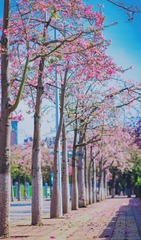 9CF048F8-008A-4140-A16D-0D132335A9BE/L0/001