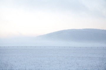 IMG_5653-3