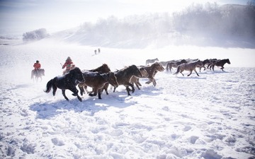 IMG_5774-7