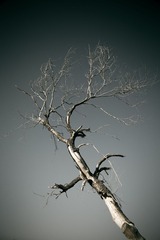 _Y5K6457-5