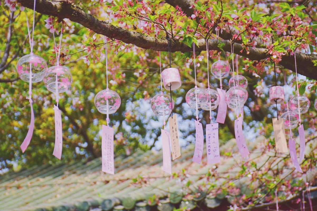 樱花风铃
