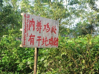 nEO_IMG_IMG_0114.jpg