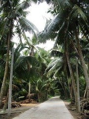 nEO_IMG_IMG_0192.jpg