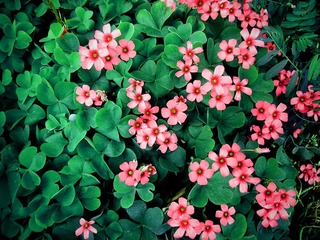 IMG_20130427_091815.JPG