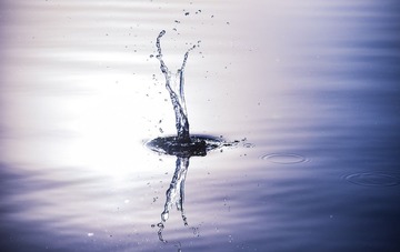 DSC_3333-1