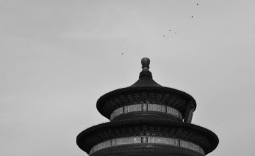 DSC_4587-3
