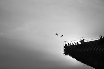 DSC_4604-4