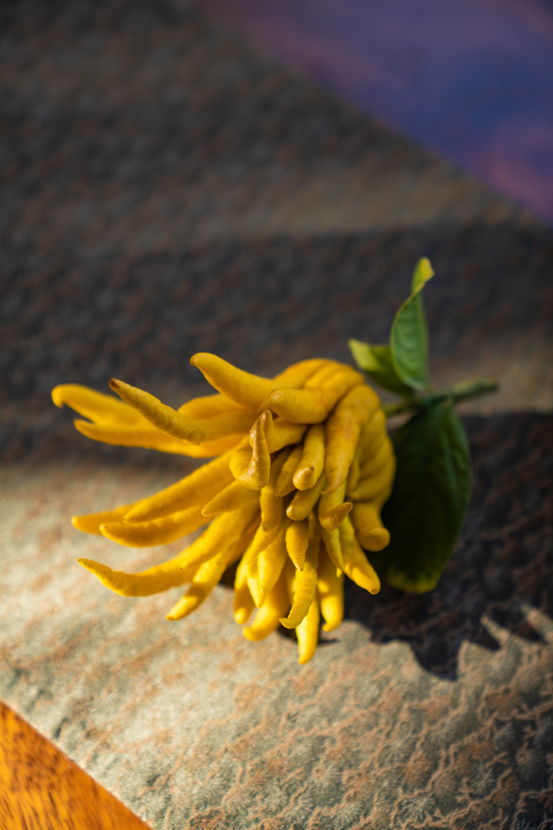 佛手柑 - 摄影师许杰 - 图虫