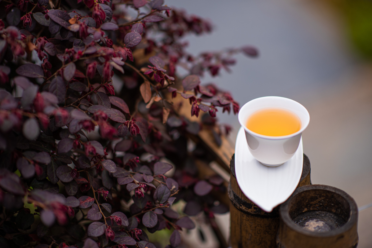 春天喝茶 - 摄影师许杰 - 图虫