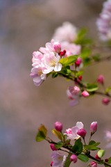 _DSC3879