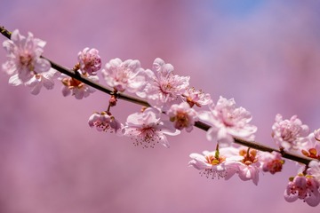 _DSC9875
