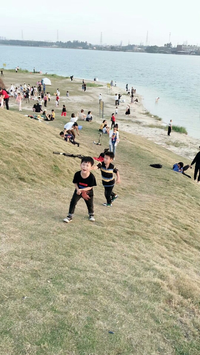 国内旅游被打
