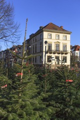 1920-151