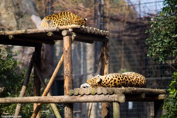 DSC00943_