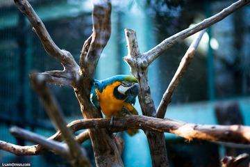 DSC08346_