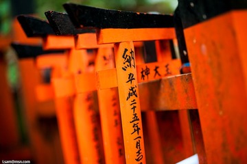 DSC02857-2_