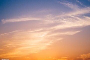 1440_NANJ09