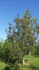 992567