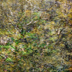 _Z8A0052