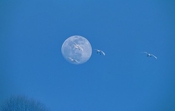 4280123