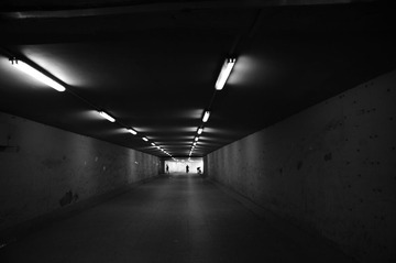 WXD_8061.JPG