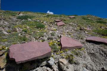 L1057782.jpg