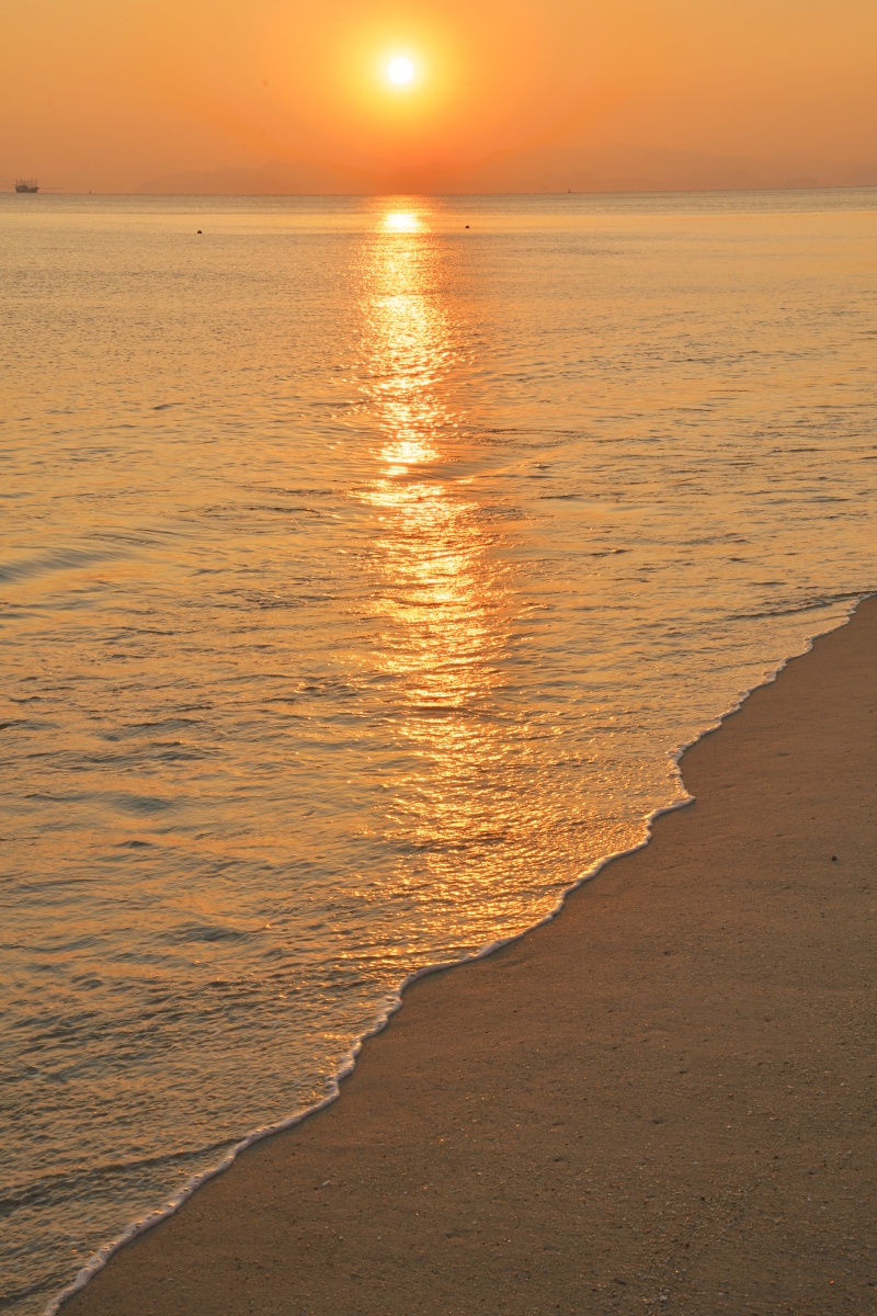 戒不掉的落日与大海