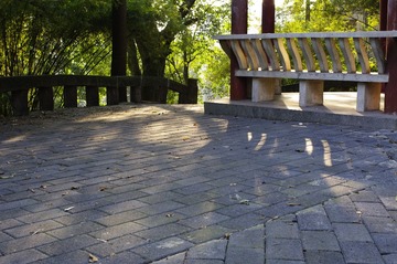 _IGP7897.JPG