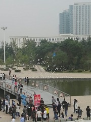 307582