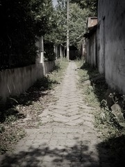 1000002651