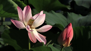 IMG_7092 1