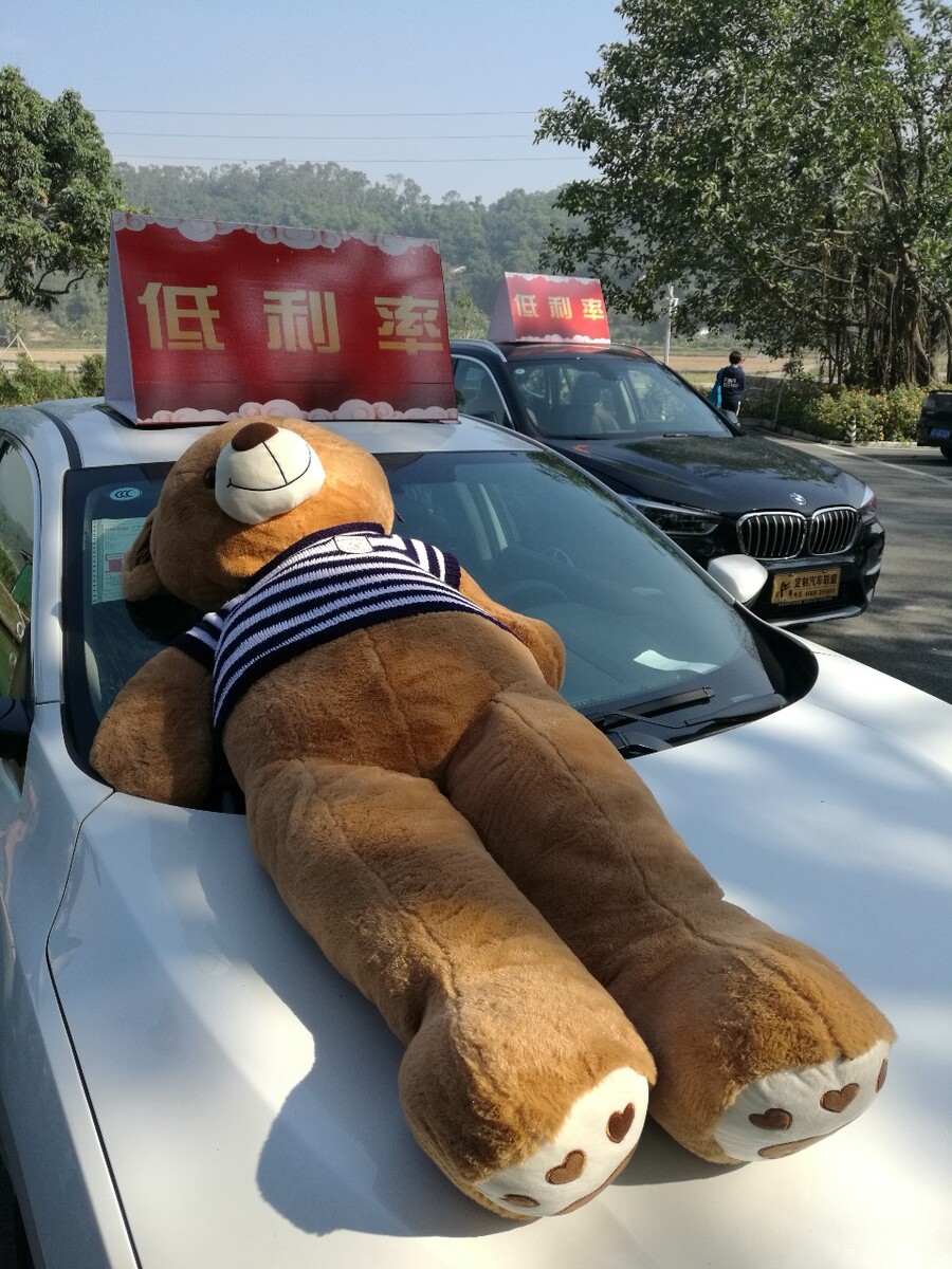 驾校开车图片大全,开车上路不怕违章我还会再开车吗?