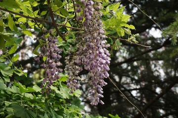 psb (2).jpg