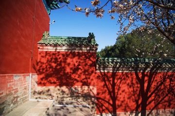 A2AC0300-22F3-4A96-9420-577A88108349