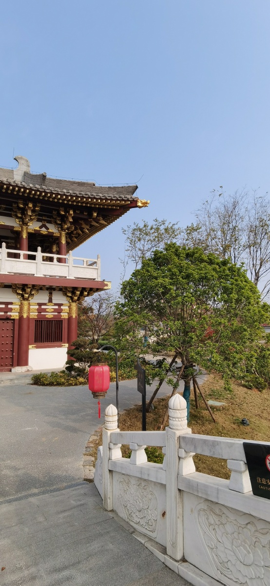 金亭龙头檐摄于洛阳九洲池