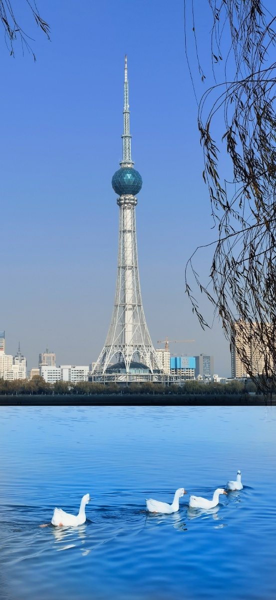 洛阳城市风景