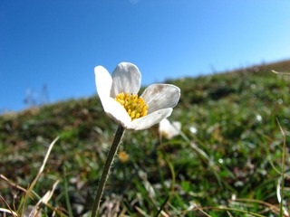 IMG_1040.JPG