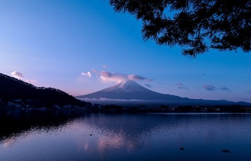DSC_1410.jpg