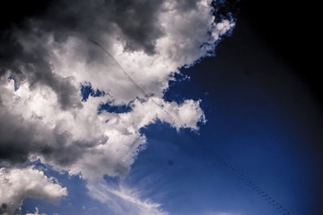 IMG_01192.jpg