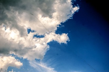 IMG_01195.jpg