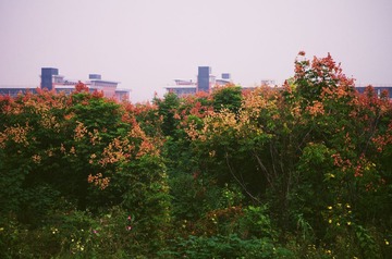 06.jpg