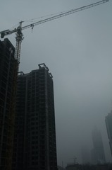 2010.01.20 093749.jpg