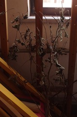 2012.09.10 103012.jpg