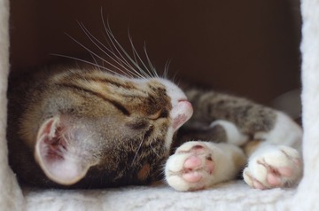 2012.09.11 170542.jpg