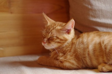 2012.09.11 165733.jpg