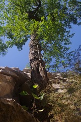 2012.10.02 103247.jpg