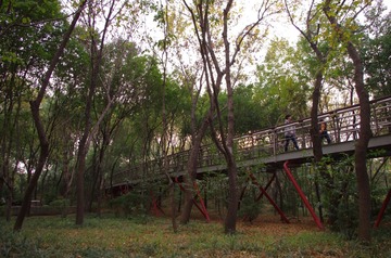 2012.10.12 163807.jpg