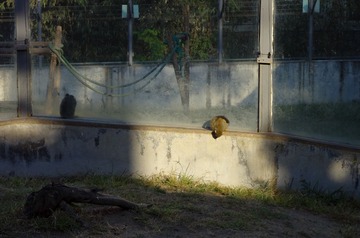 2012.10.17 154312.jpg
