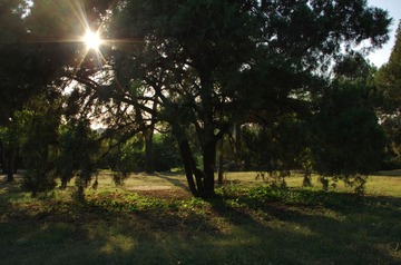 2012.10.17 160525.jpg